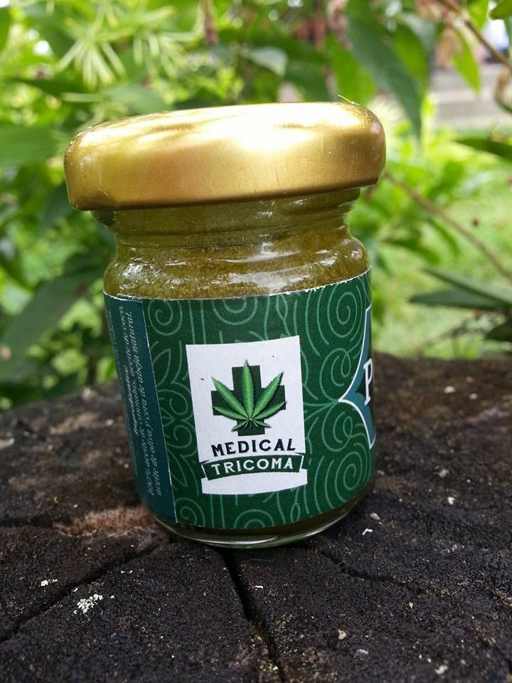 En Fenicia, Río Frío, (Valle del Cauca) hay un emprendimiento que nos llamó poderosamente la atención, se trata de Experiencia Tricoma y es que mantienen un invernadero de cannabis, del cual extraen las mejores propiedades de esta planta para crear, pomadas.