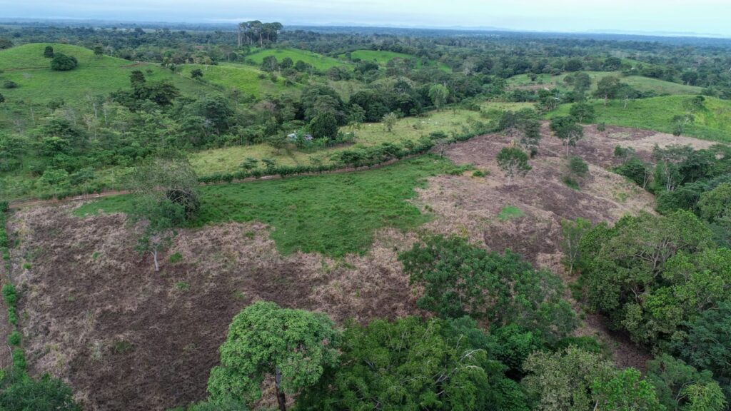 	El Ministerio de Ambiente intensifica esfuerzos para detener la deforestación, la tala y comercio ilegal de madera, y preservar los bosques, actuando con firmeza en las zonas afectadas de la provincia de Darién y las comarcas Embera Wounaan y Wargandi. 

	La protección de nuestros bosques es urgente. La ciudadanía es clave en esta lucha y está llamada a denunciar las actividades que amenazan nuestros recursos naturales.
