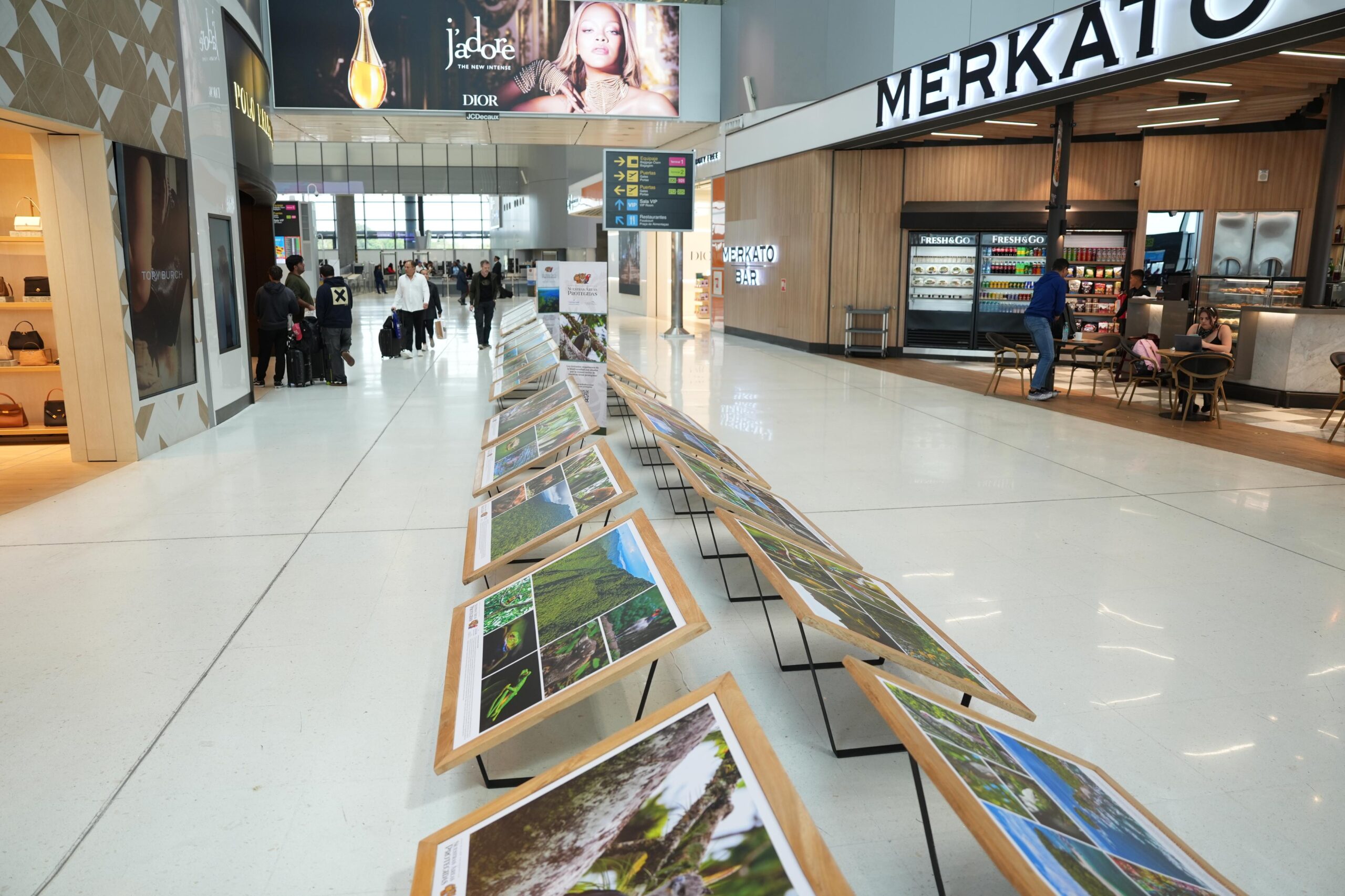 Exposición “Nuestras Áreas Protegidas” inicia su recorrido itinerante en el Aeropuerto Internacional de Tocumen