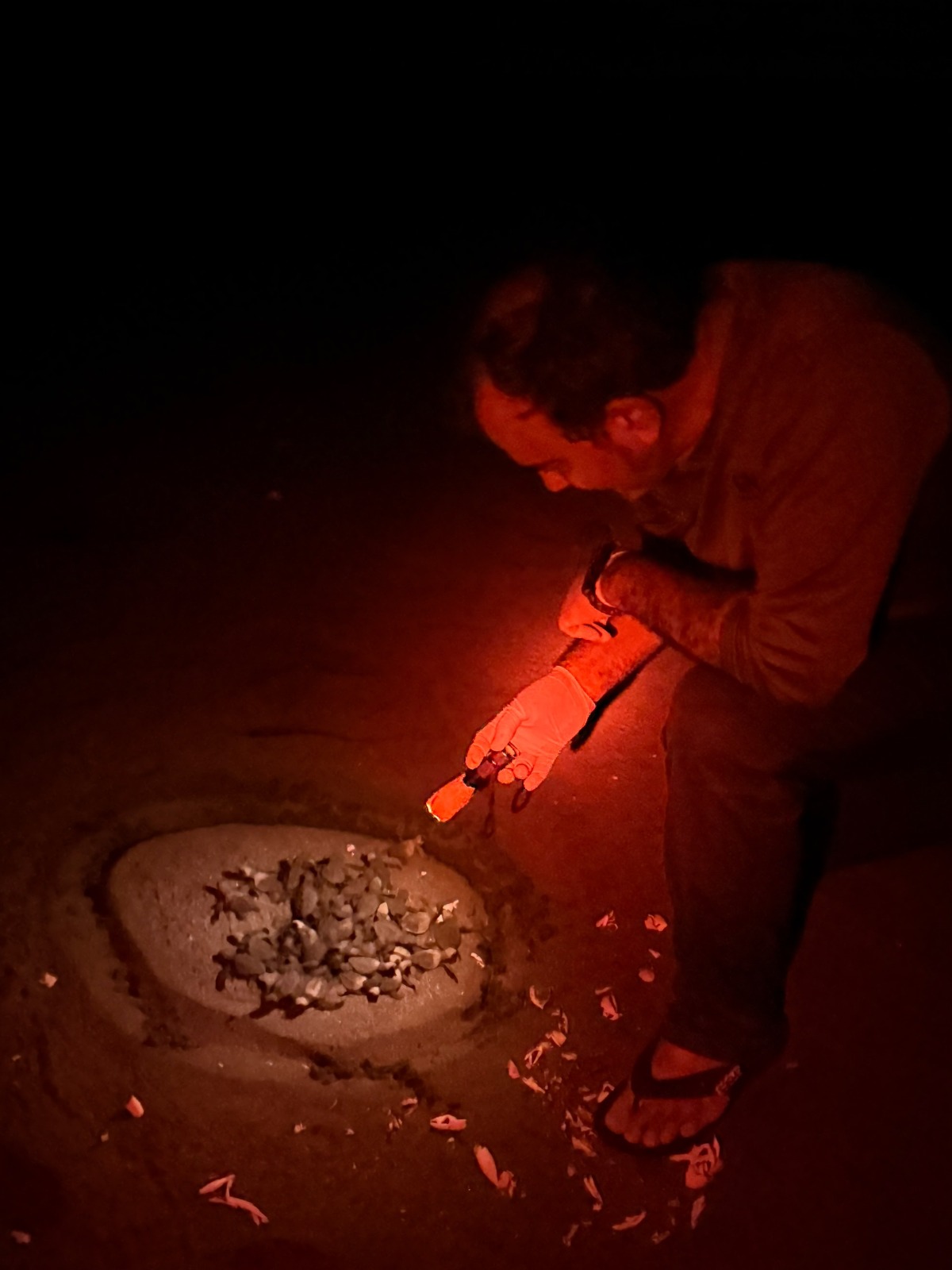 MiAMBIENTE presenta Plan de Trabajo de Conservación de Tortugas Marinas 2026