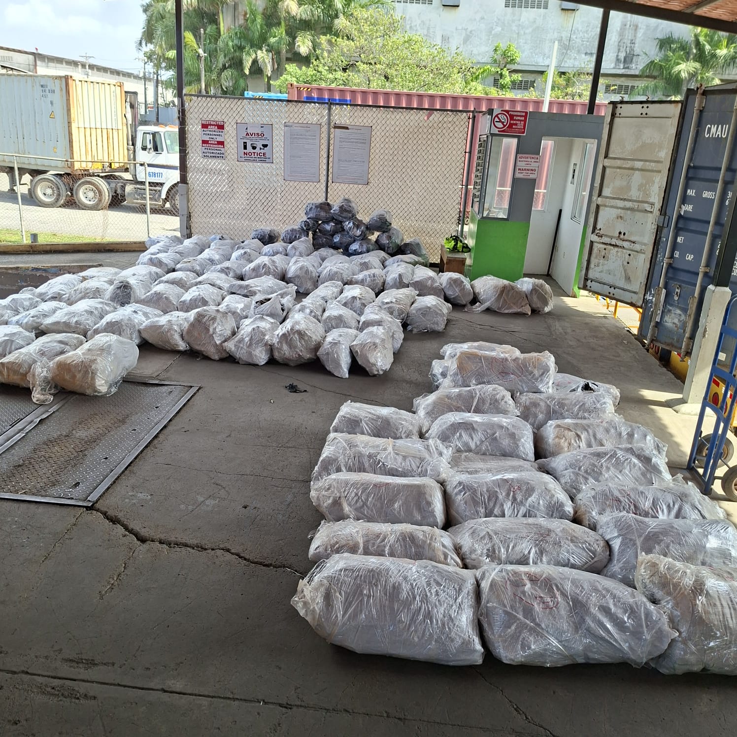 Retienen en Puerto Manzanillo contenedor con 109 sacos de aletas de tiburón con destino a Malasia
